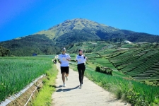 Un lieu touristique appelé Sitegon Terraced Tourism dans le district de Kajoran, régence de Magelang. (doc.Instagram @sukomakmur_magelangjawatengah)  Kompas.com 