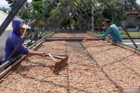 Ministère de l&#039;Industrie tente de faire de l&#039;Indonésie l&#039;épicentre de l&#039;industrie mondiale de transformation du cacao