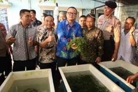 840.000 hectares non pas encore utilisés pour les algues, a déclaré le  Directeur général du ministère des affaires maritimes et de la pêche