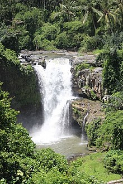 La cascade  de  Tegenungan   Gianyar Bali 