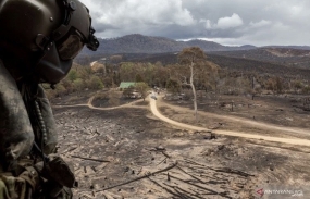 Les incendies de forêt en Australie menacent un site du patrimoine mondial de l&#039;UNESCO
