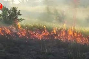 BMKG met en garde contre le risque d&#039;incendies de forêt et de terres dans un certain nombre de régions d&#039;Indonésie