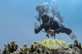 Les entrepreneurs du tourisme de plongée sont invités à préparer une stratégie de promotion après la pandémie