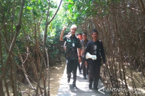 La beauté du site touristique Ciseureuh, à Brebes, Java Central