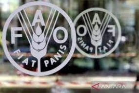 L&#039;Organisation des Nations Unies pour l&#039;alimentation et l&#039;agriculture – l’OAA  espère que l&#039;Indonésie invite les pays du G20 à collaborer pour surmonter la faim