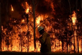 Incendies de forêt en Californie, alertes appelées aux citoyens