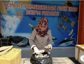 SKIPM a noté que les exportations de produits de la pêche de l&#039;ouest de Sumatra ont augmenté en septembre
