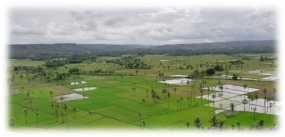 la colline de Persaudaraan Mau Hau