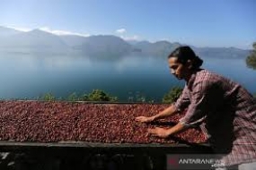 Pour augmenter le nombre de touristes, Aceh organise le festival du café de Kutaraja