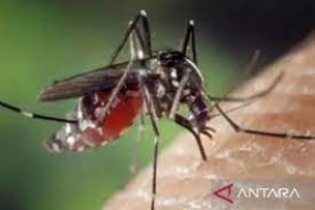 Bangladesh est aux prises avec une épidémie mortelle de dengue