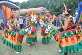 Jaran Bodhag, l&#039;art traditionnel de Probolinggo, Java oriental