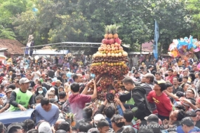 Des milliers de personnes se disputent d&#039;obtenir les fruits au Festival Durian 2020 qui s&#039;est tenu dans la zone d&#039;attraction touristique du village de Limbangan, district de Karanganyar, en régence de Pekalongan, Java central, dimanche