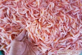 Les crevettes fermentées