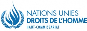 Le Haut Commissaire des Nations Unies aux droits de l&#039;homme se rendra en Indonésie