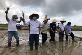 Les sociétés des agriculteurs de Sukabumi visent à exporter vers le Moyen-Orient