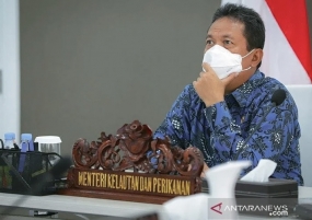 Le ministre indonésien des Affaires maritimes vise l&#039;Indonésie pour devenir le plus grand producteur de crevettes vaname