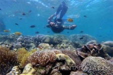 L’Île de Gili Ketapang à Probolinggo