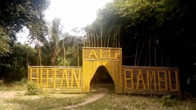 La Forêt de bambous du village d’Alu