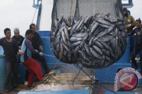 L’Indonésie classée 4e exportateur de produits de la pêche vers la Chine