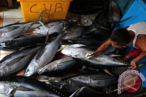 L&#039;exportation de produits de la pêche transformés vers le Japon a augmenté