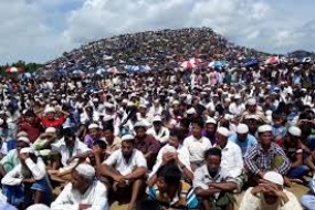 Le Bangladesh transfère des centaines de réfugiés rohingyas dans une île isolée