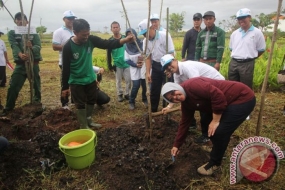 Singapour est intéressé à apprendre l&#039;arrangement du parc de Surabaya