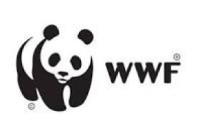 World Wide Fund -WWF collabore avec l’organisation scoute mondiale pour la conservation  de la nature