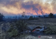 Incendies de forêt en Turquie, aucun citoyen indonésien n&#039;est victime