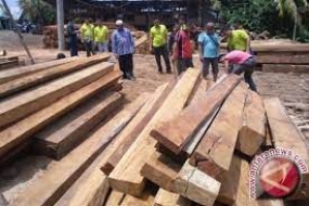 Indonesisches verarbeitetes Holz wird in asiatische Länder vermarktet