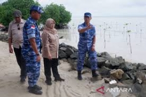 TNI AU und BRGM stärken Mangroven-Ökosysteme, um die Erosion von Küstenbasen zu verhindern