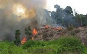 Präsident wird entschiedene Massnahmen wegen fortdauernder Waldbrände ergreifen