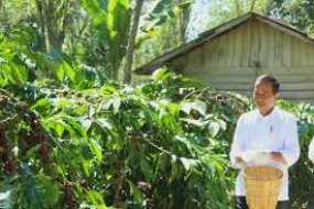 Indonesiens Präsident sagte, dass der verfügbare Dünger die Steigerung der landwirtschaftlichen Produktion unterstützt