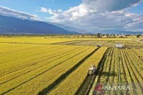 China will die landwirtschaftliche Zusammenarbeit mit ASEAN verstärken