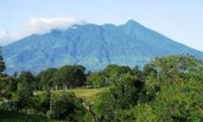 Der Nationalpark Gunung Palung in West Kalimantan