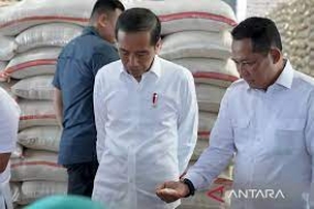 Indonesien prüft die Möglichkeit zum Import  von Reis aus einigen Ländern