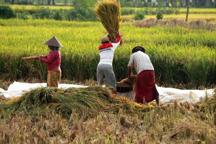 Gewählter Präsident Prabowo: Landwirtschaft bestimmt zukünftiges Schicksal der Nation