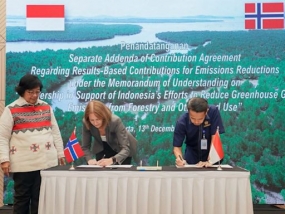 Indonesien hat von Norwegen 100 Millionen US-Dollar für die Reduzierung der Entwaldung bekommen
