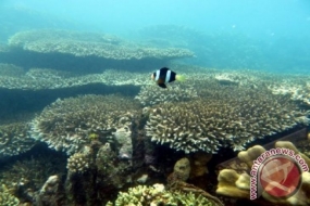 Olele-Strand in Gorontalo