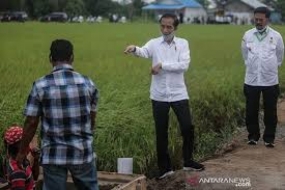 Präsident : Man sollte im &quot;Food Estate “ in Zentralkalimantan auch Fisch anbauen