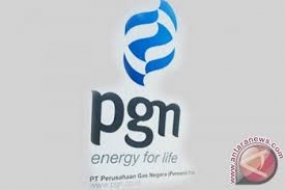 PGN und PLN verpflichten  sich, Gas für Strom zu verwenden