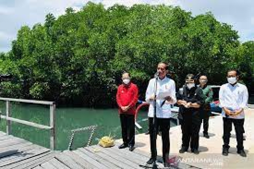 Präsident Jokowi möchte, dass andere Regionen dem Beispiel der Mangroven-Rehabilitierung auf Bali folgen