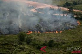 Das Umweltministerium besiegelt 42 Firmengrundstücke, um die Waldbrände zu bekämpfen