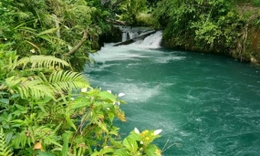 Kali Biru Genyem