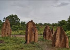 Das Touristenziel &quot; 1000 Musamus&quot;