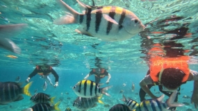 Sabang präsentiert  Rumah Nemo als neuen Touristenort