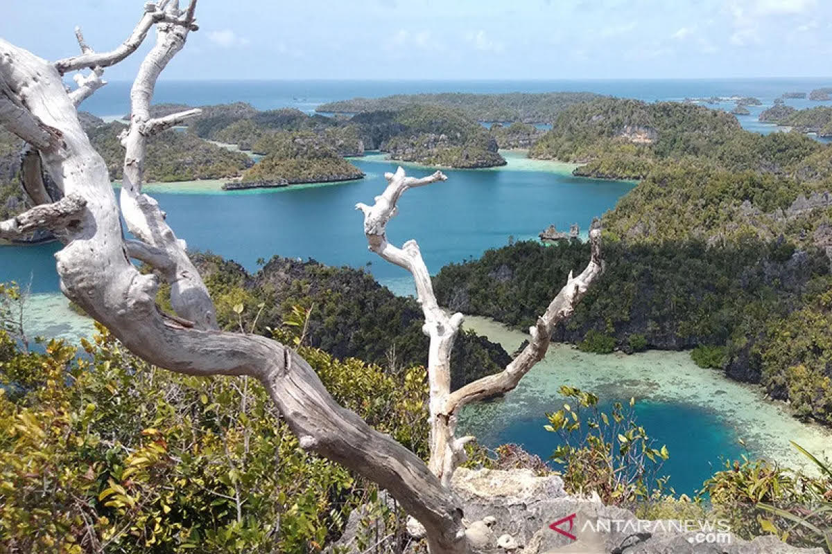 Surga Eksotis di Kepulauan Raja Ampat