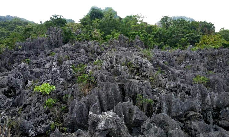 Taman Batu Karst Balocci Sulawesi Selatan