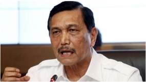 Luhut : Indonesia Berhasil Dalam Negoisasi Sawit Di Eropa