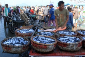 Konsisten Usir Kapal Ikan Asing, Biomassa Laut Naik 300 Persen