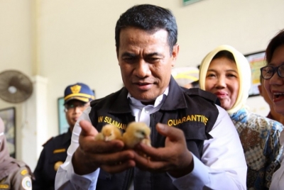 Menteri Pertanian Amran Sulaiman